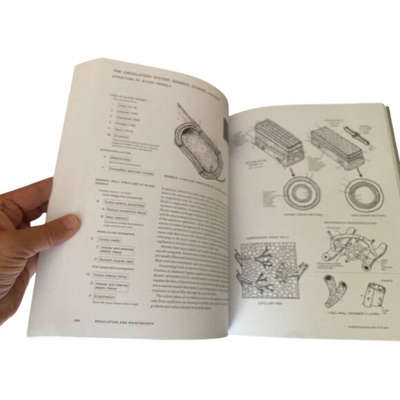 New McMurtries Human Anatomy Coloring Book 3rd Edition With 1000+ Illustrations - Picture 13 of 13